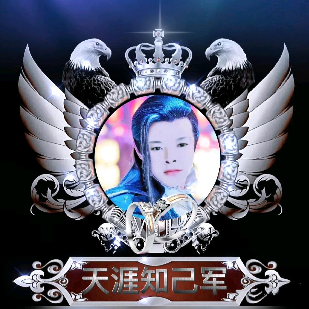 天涯知己军