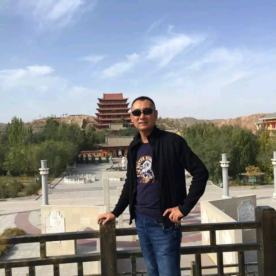 苍鹰