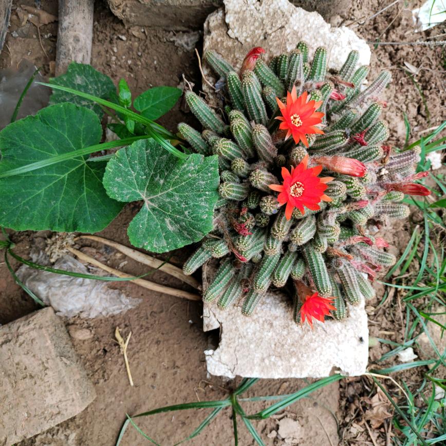 一生健康天天开心