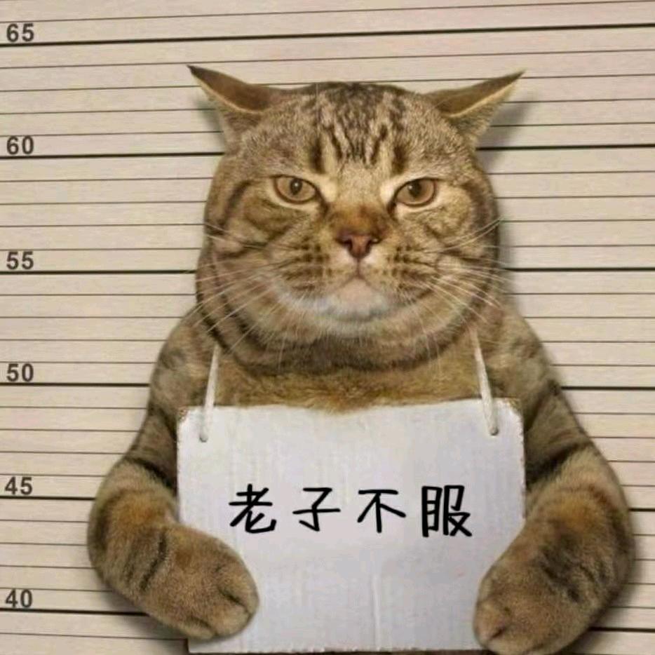 ←═╬∞懷揣蜂動~`
