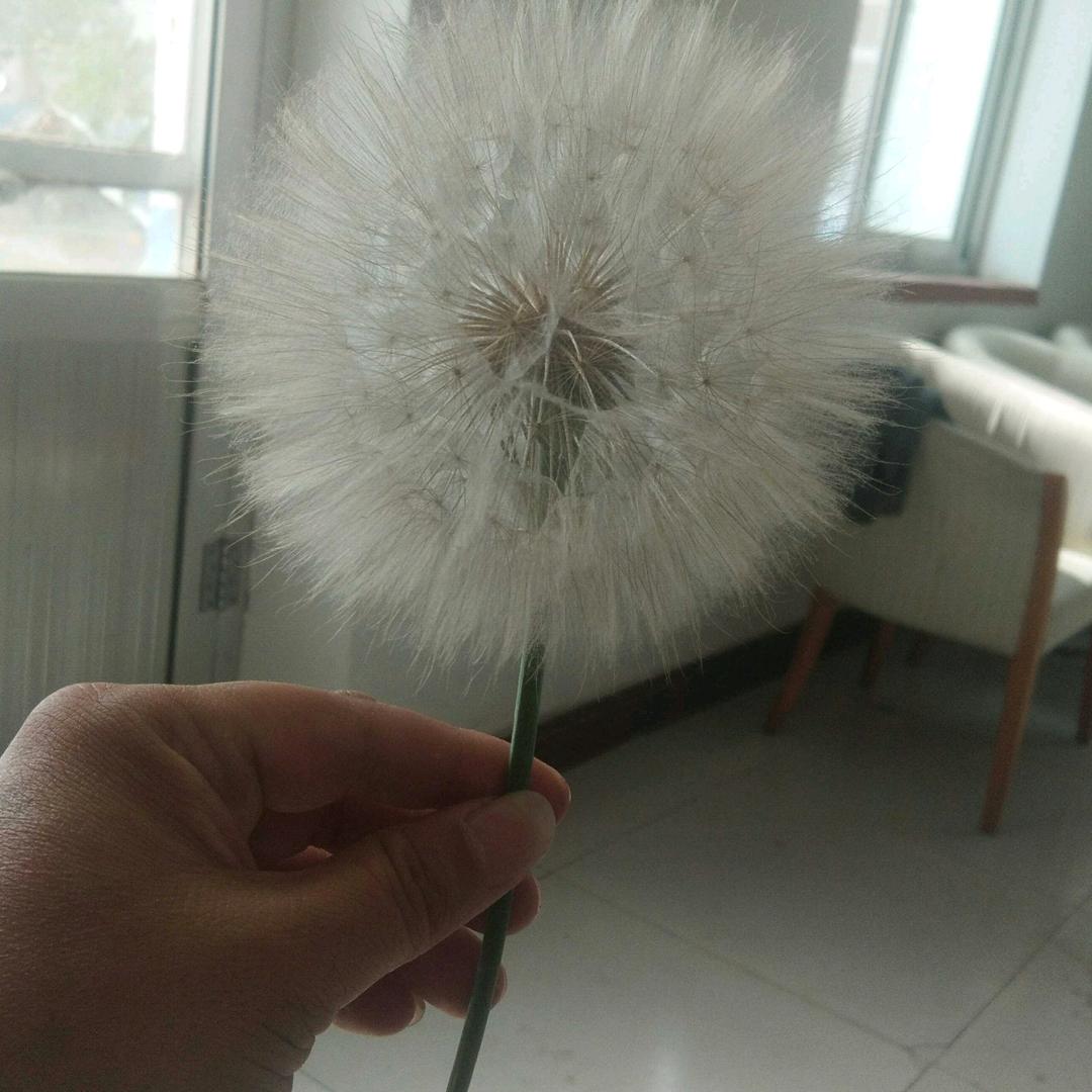 德天独厚