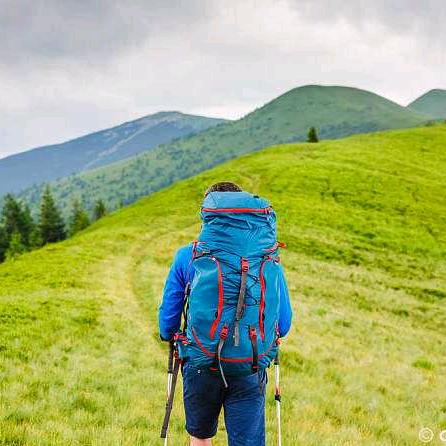 飘摇的四叶草🍀