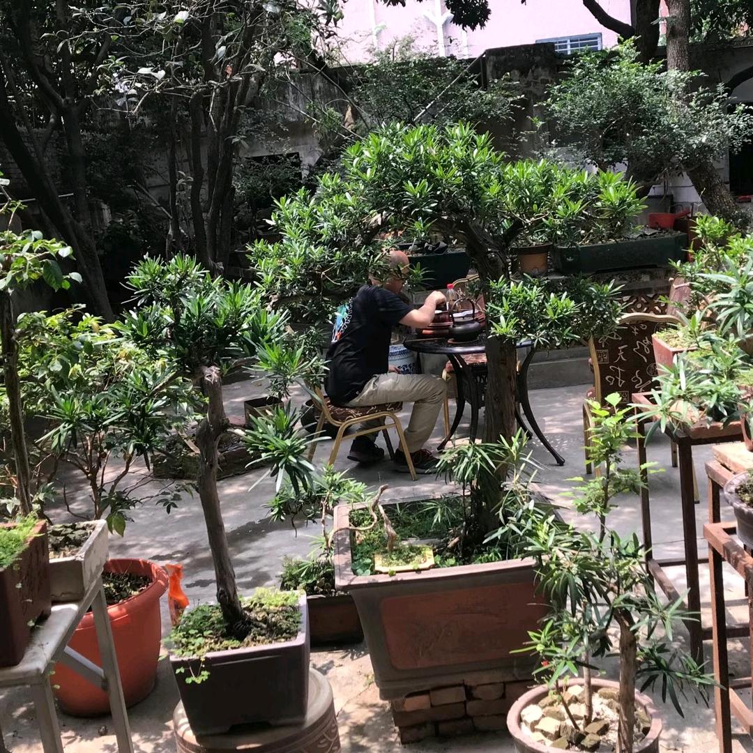 人生能饮几杯茶