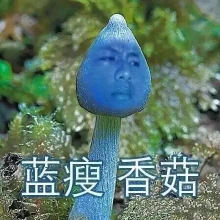 通讯录的好友