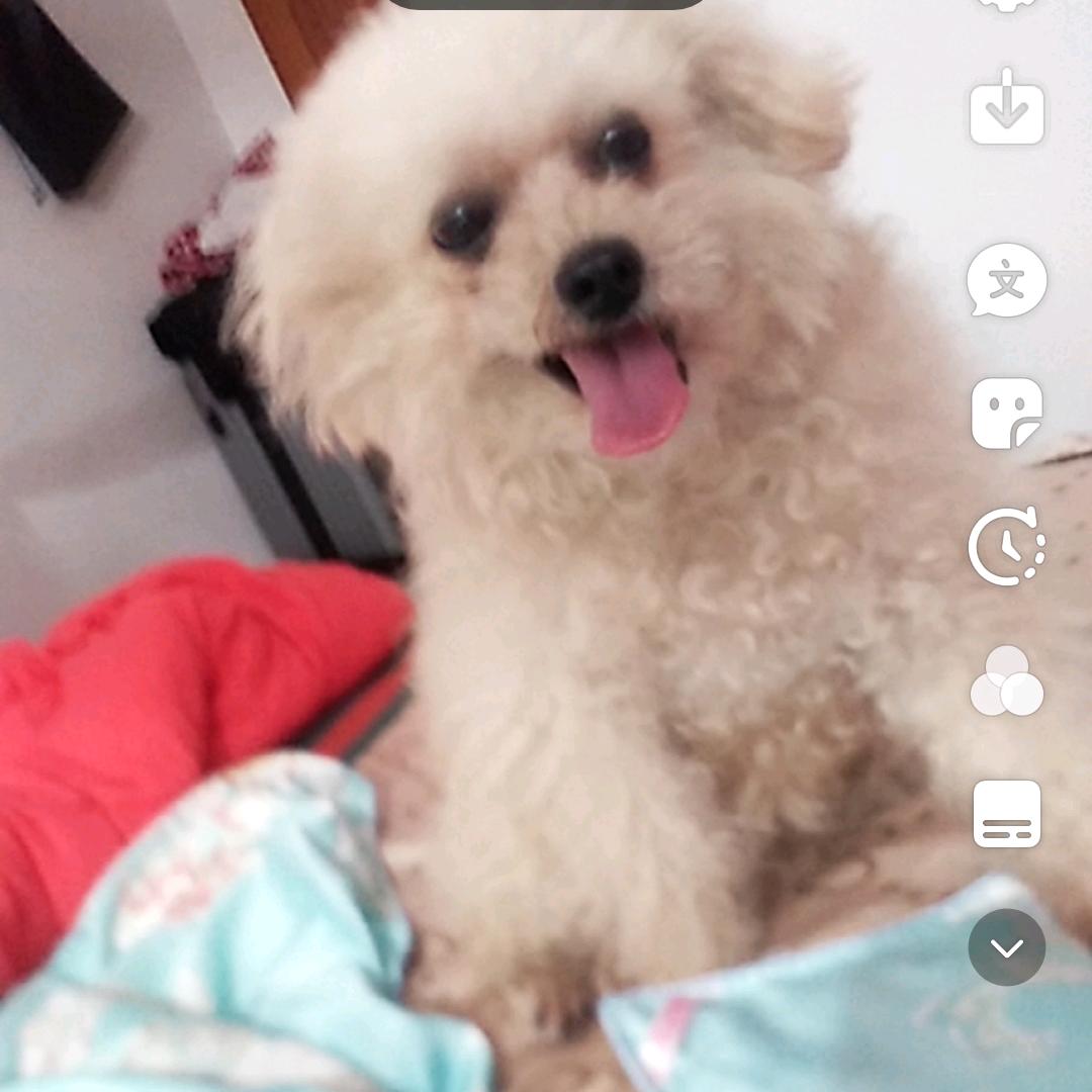 寻找有缘人，