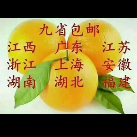 赣南脐橙