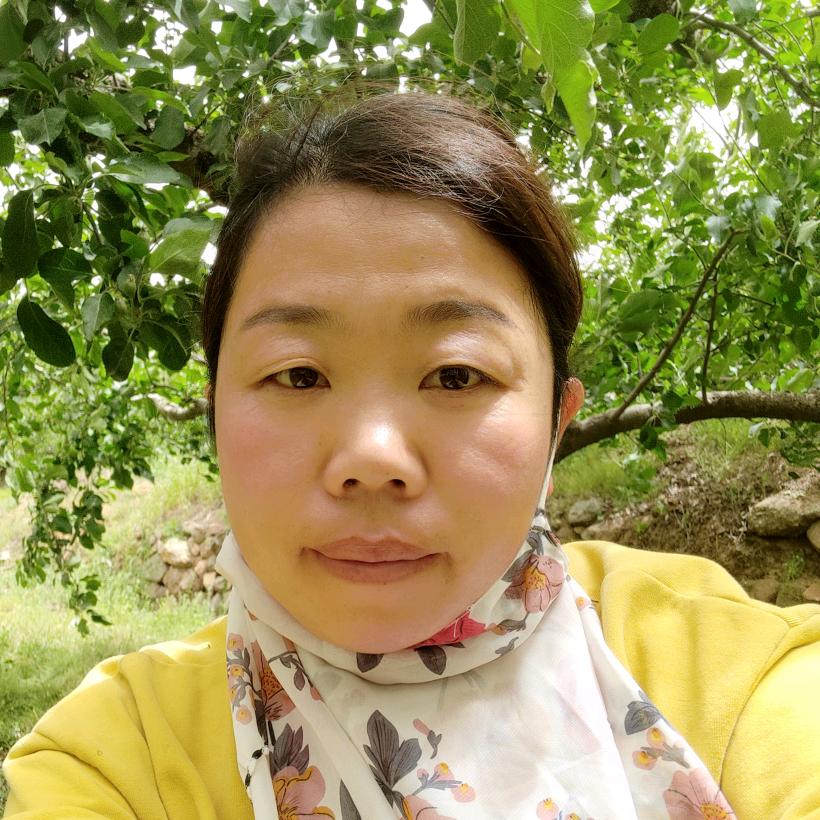 楠楠妈