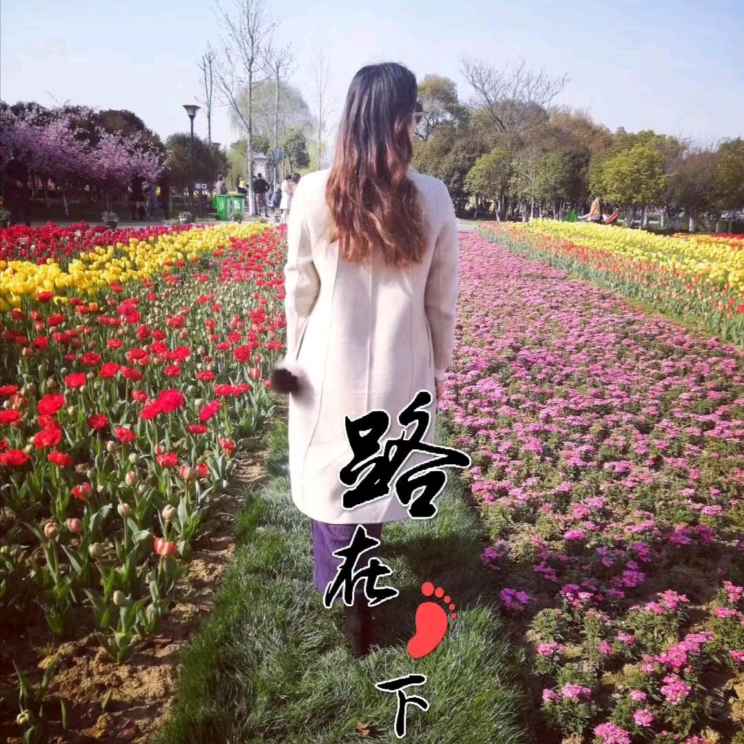 @红姐，有故事的女人