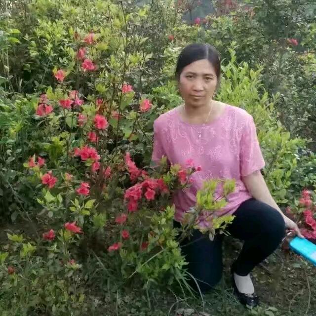 黄我真的真的好累呀