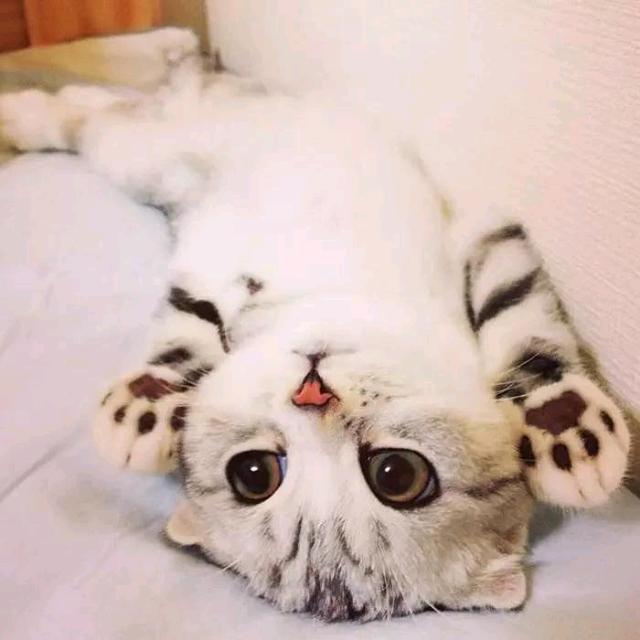 七夕