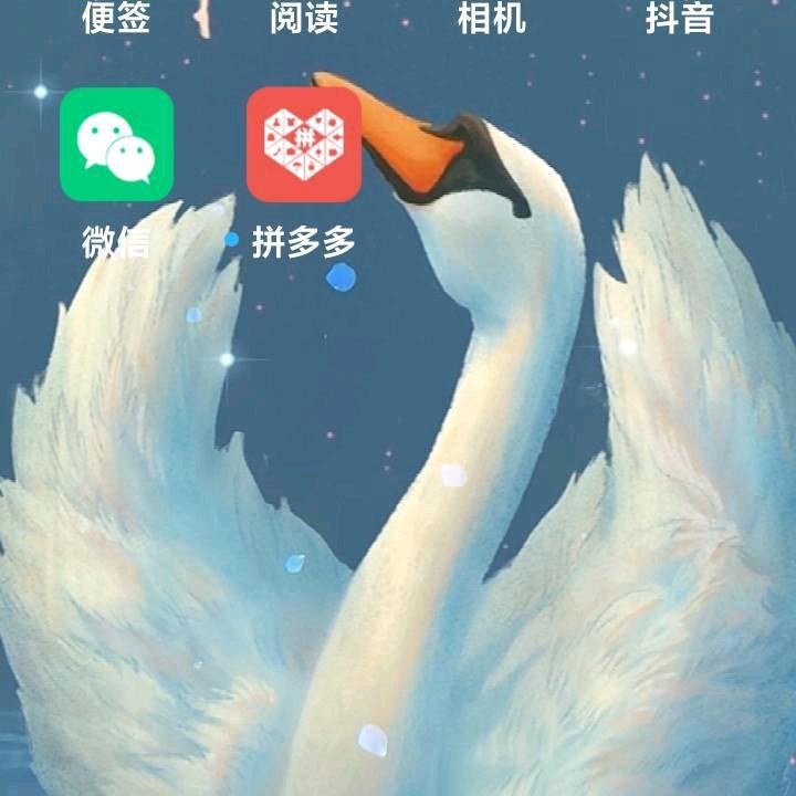 飘飘(✧∇✧)