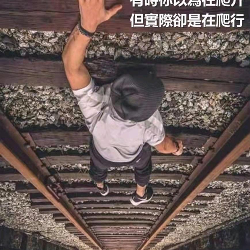 金东电器工程公司