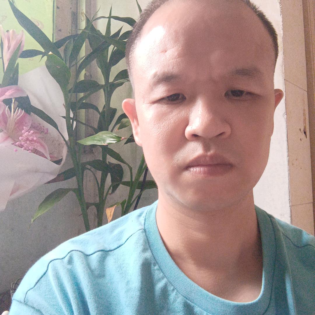 椿文