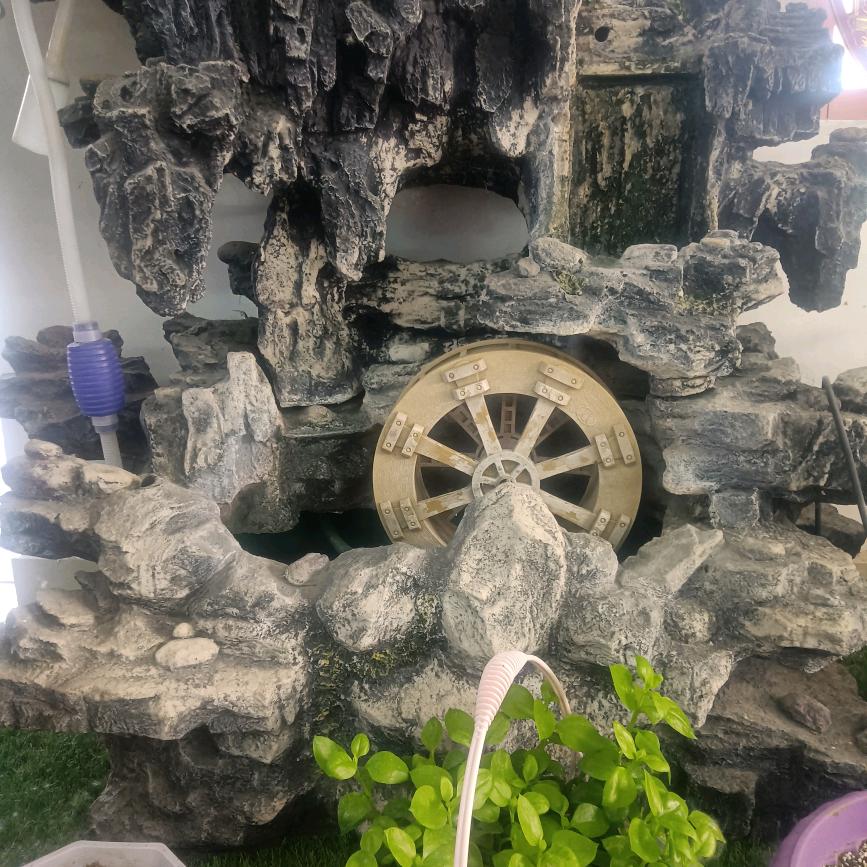 一生无悔爱上你💞