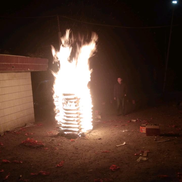 轮胎是花的世界