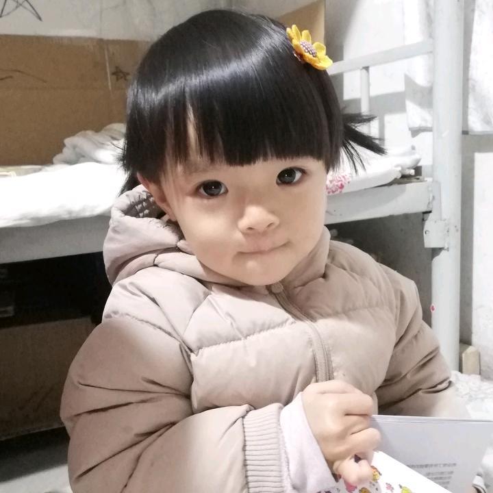 流浪蒲公英