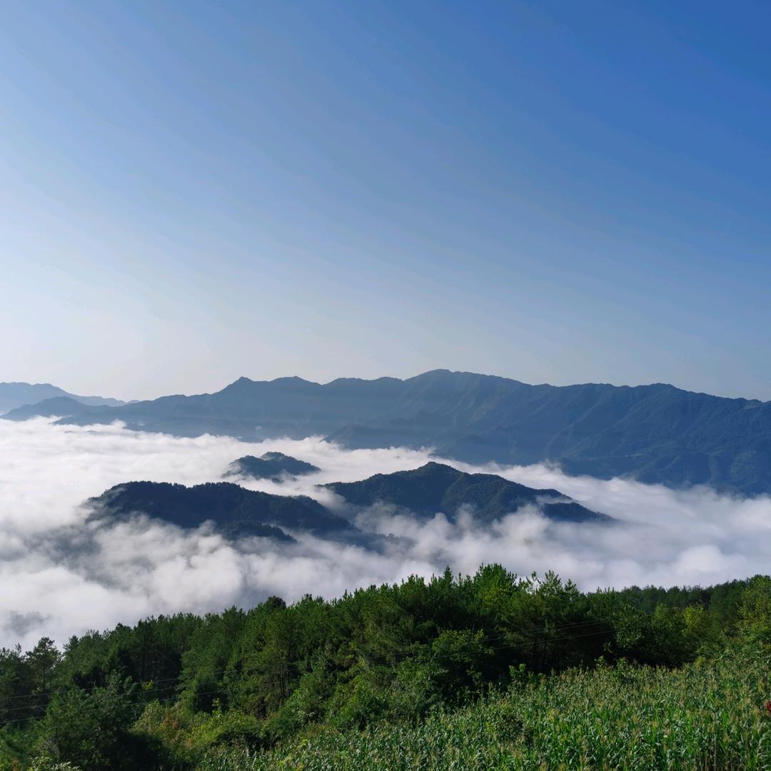 大平头