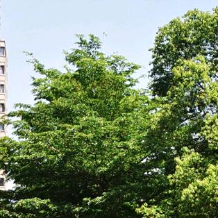 Han激光视觉系统定制（非标设计）