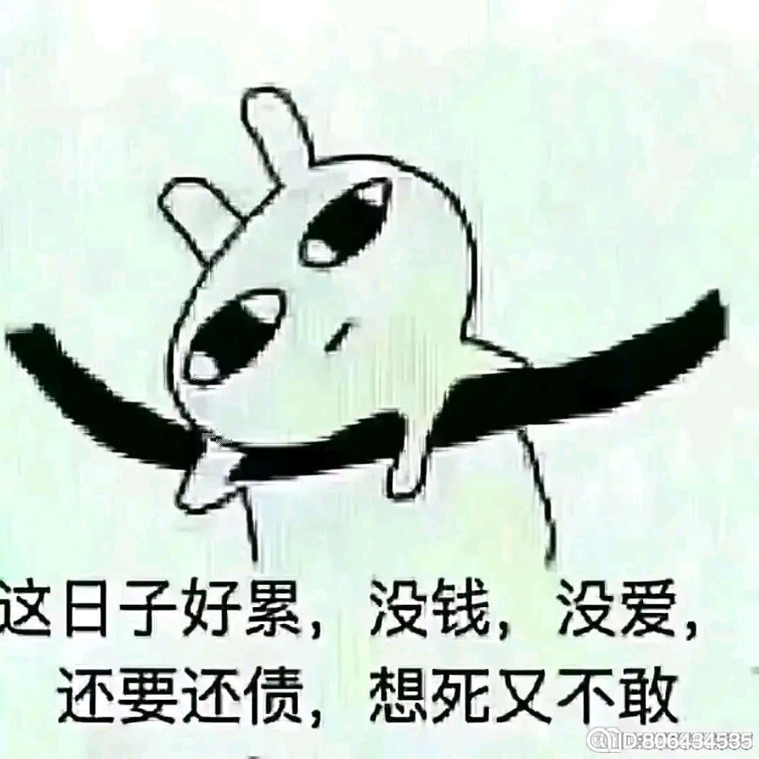孤独的牧羊人✨🙏🙏🙏