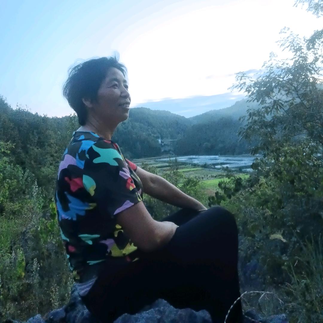 凤姐养发（晚7：10分）聊天赛道