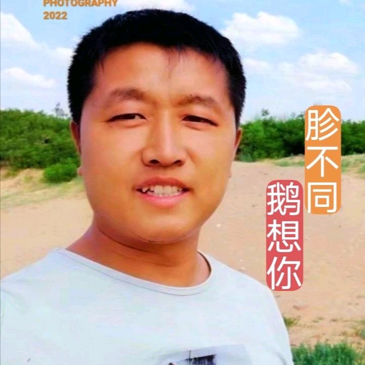 今生与鹅同行