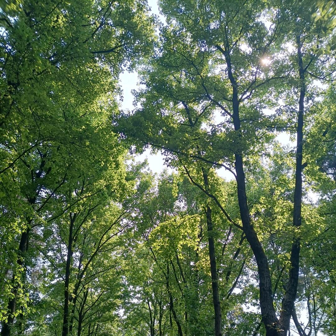 露一手