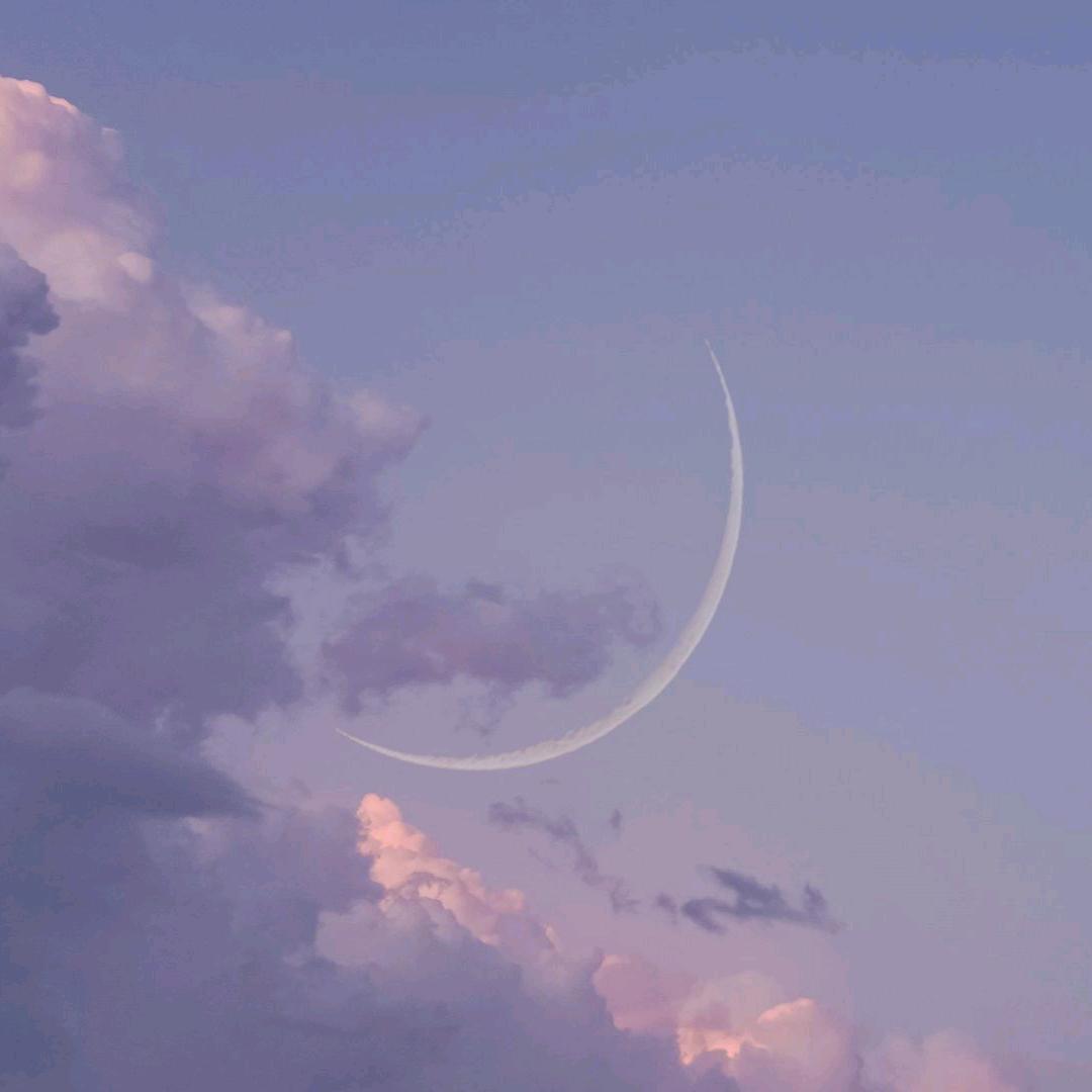 究极无敌暴龙兽