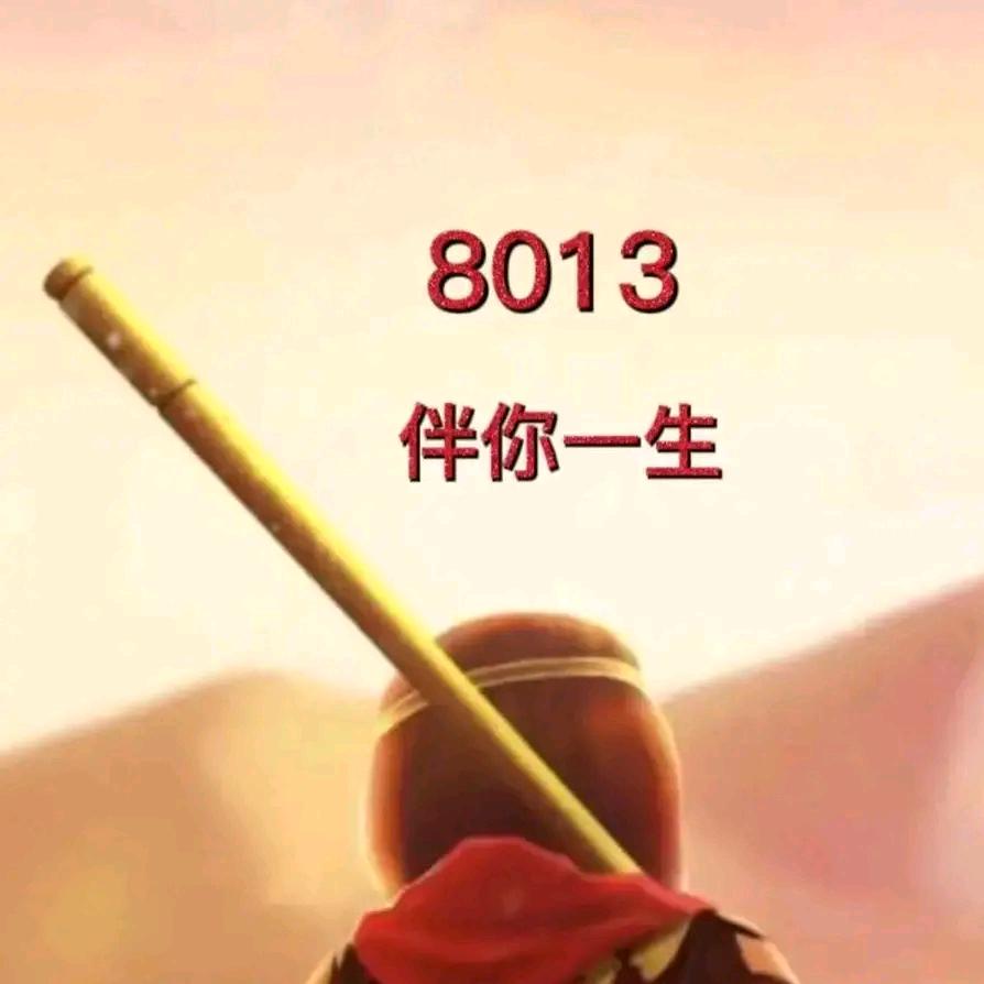 随风8013