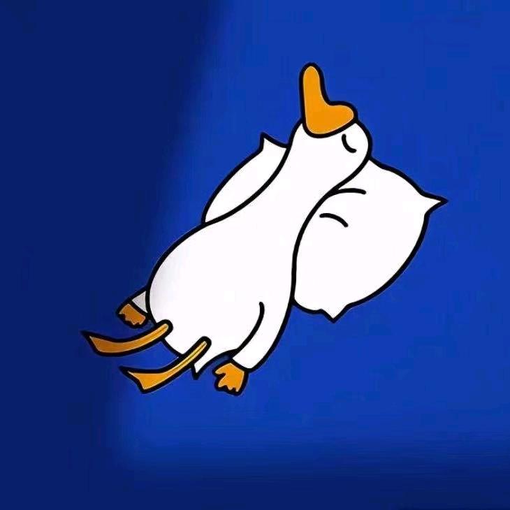 小鹏的03➕