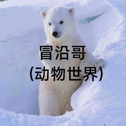 冒沿哥 (动物爱好)