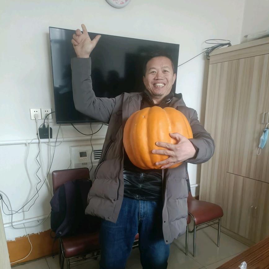 二哈哥
