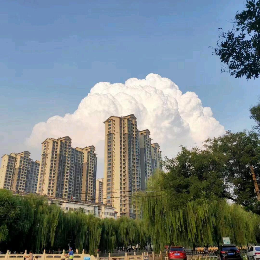 流风回雪