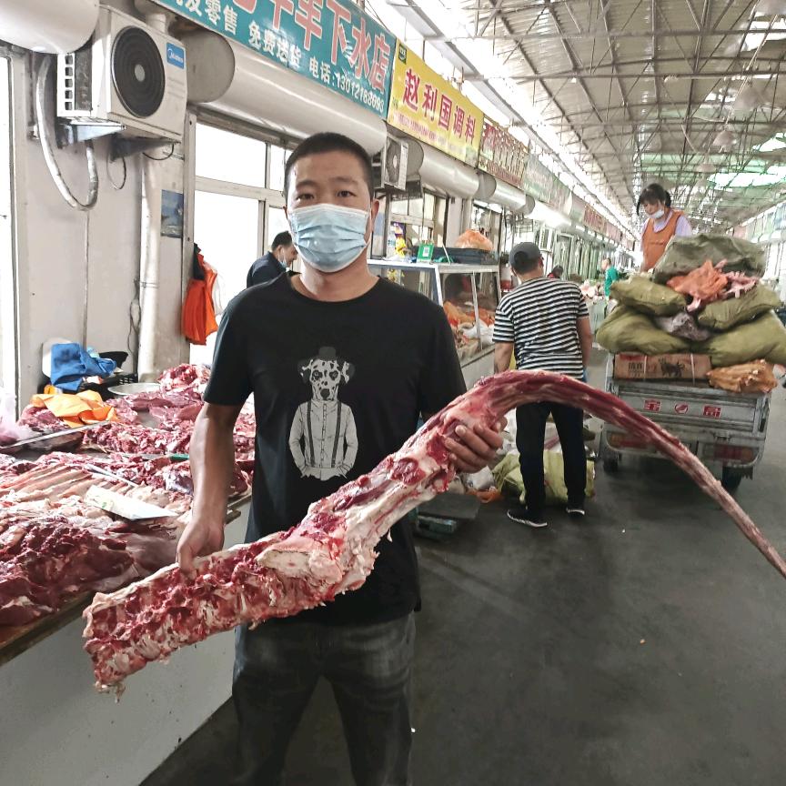狮子河大海流动烤羊