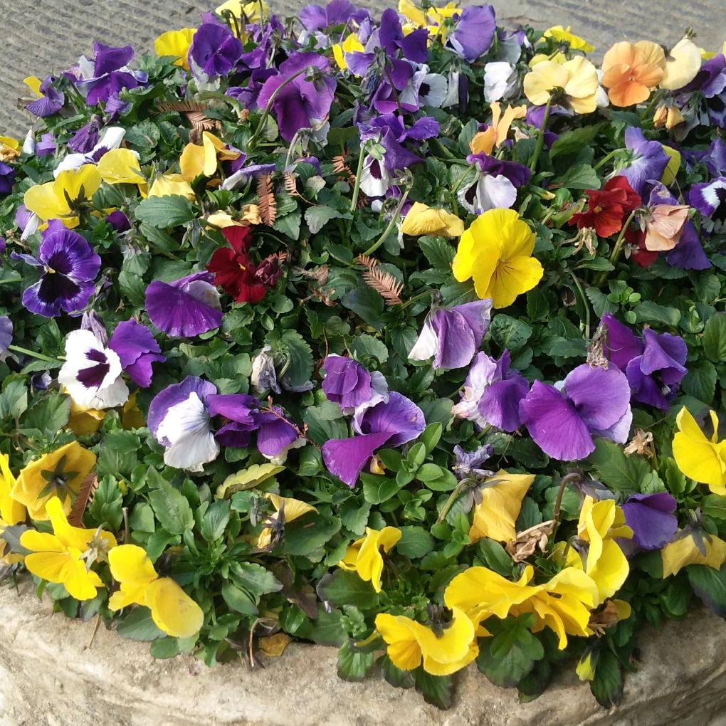 往后余生善待自己