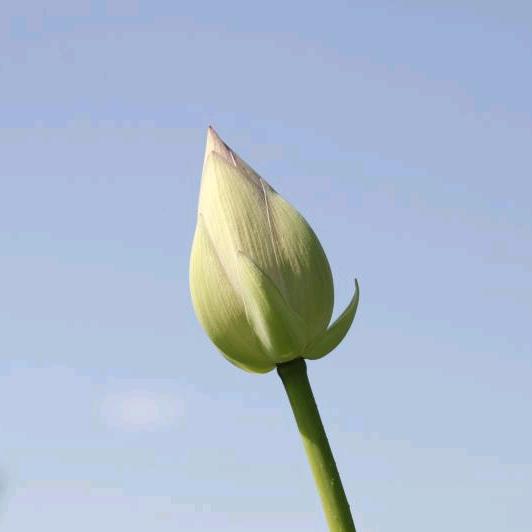 深幽静～登高游山崖峭壁，崇山骏岭赏林木