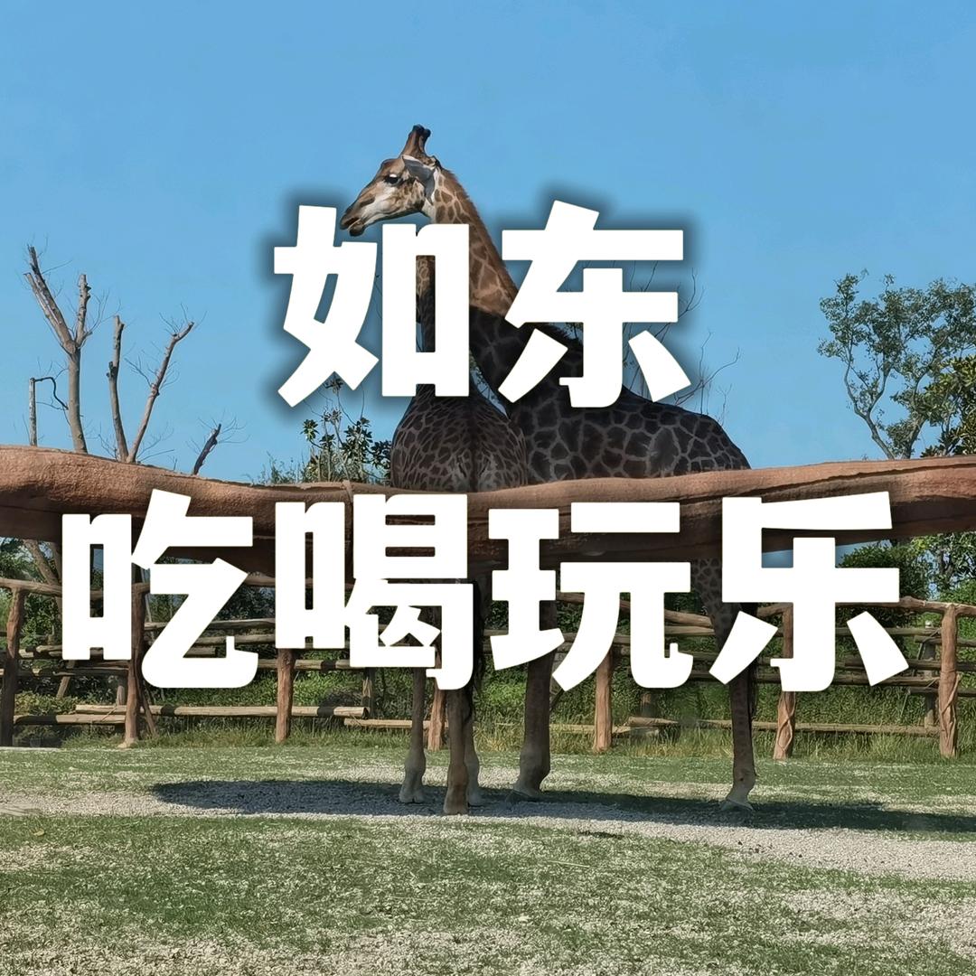 如东吃喝玩乐