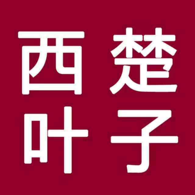 叶子解忧杂货铺