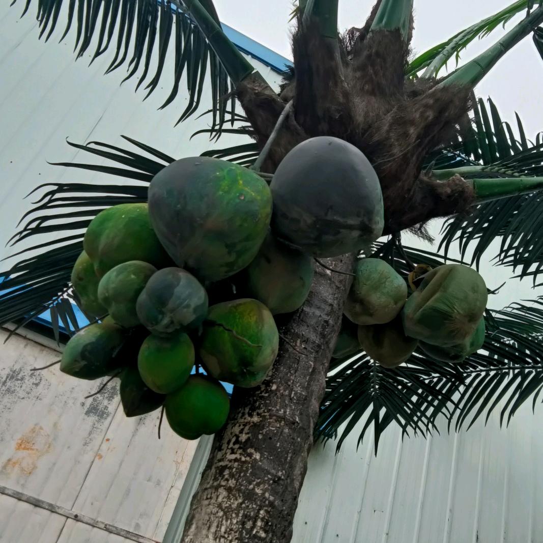 漂浮的。。，云