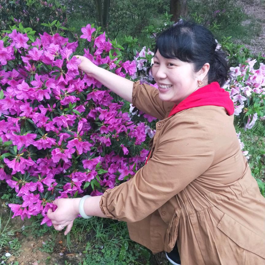 永菊