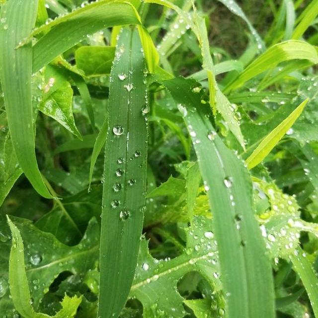 尘雨漫漫