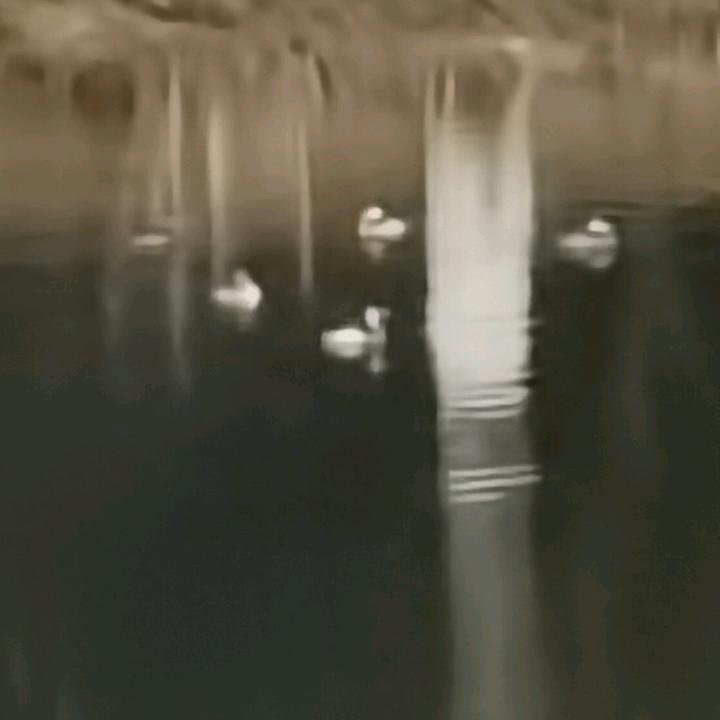 预防为主
