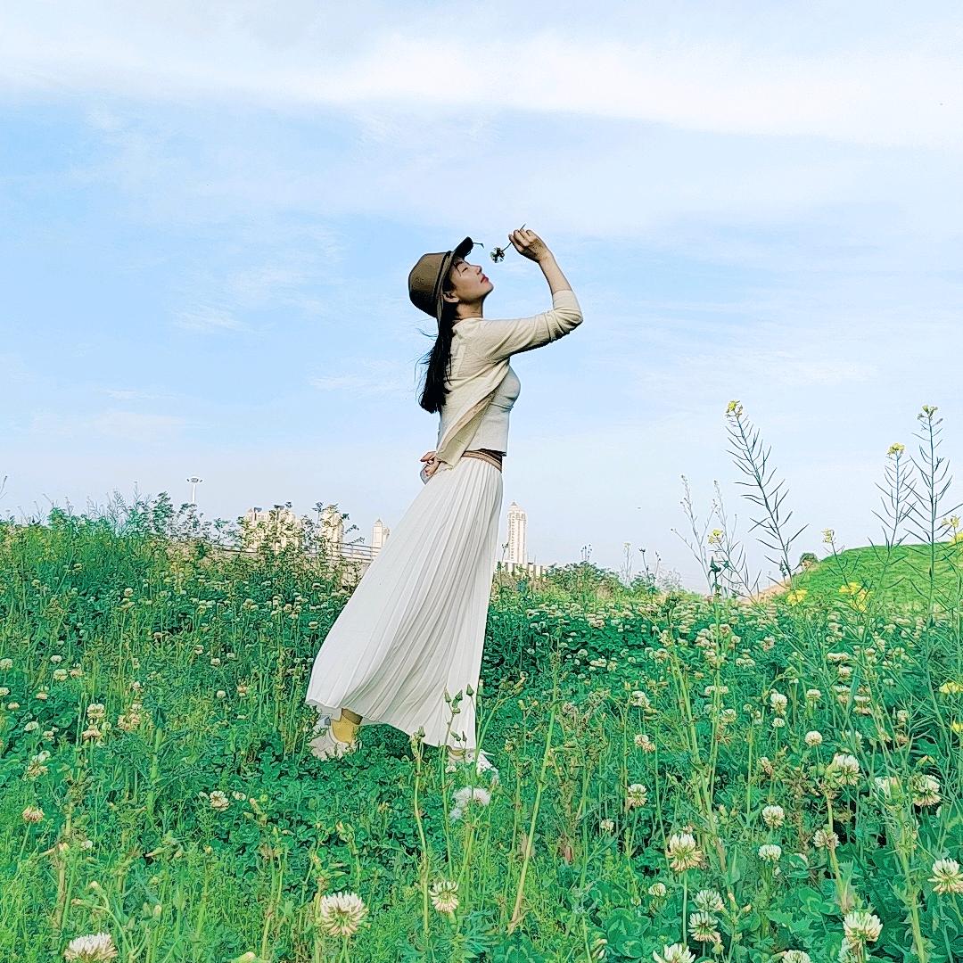 张老师成考咨询学科