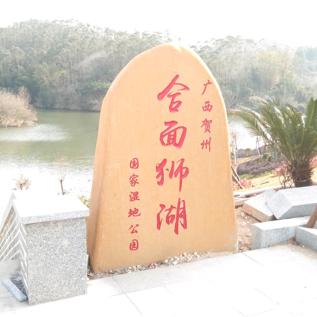 粤听小说迷