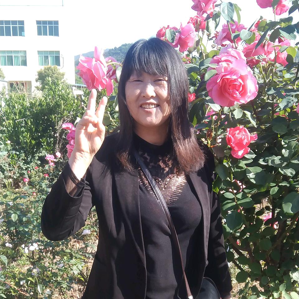 清茶淡雅
