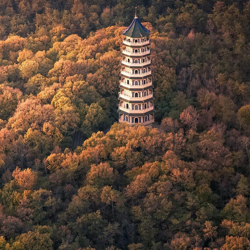 (´｡✪红✌二✌哥).｡.:*♡