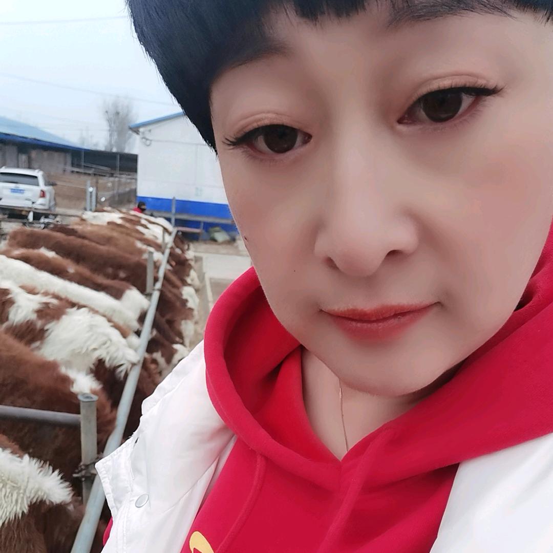 山西五牛养殖场