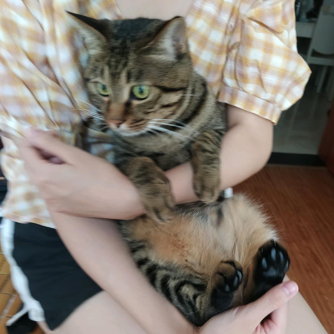 阿黄
