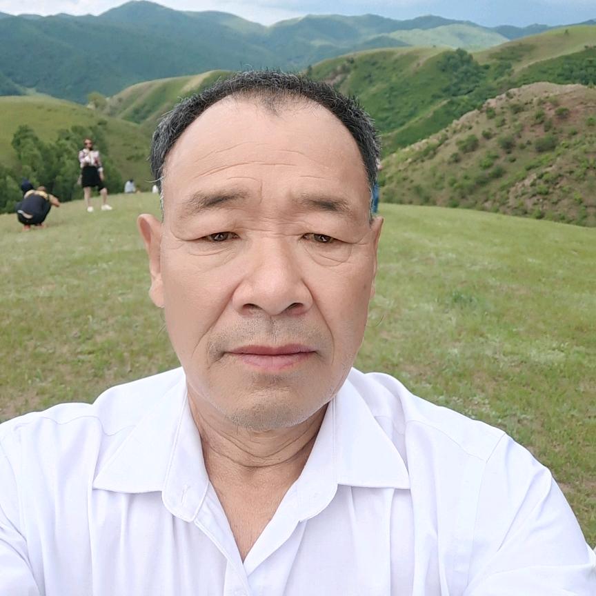 快乐的老马
