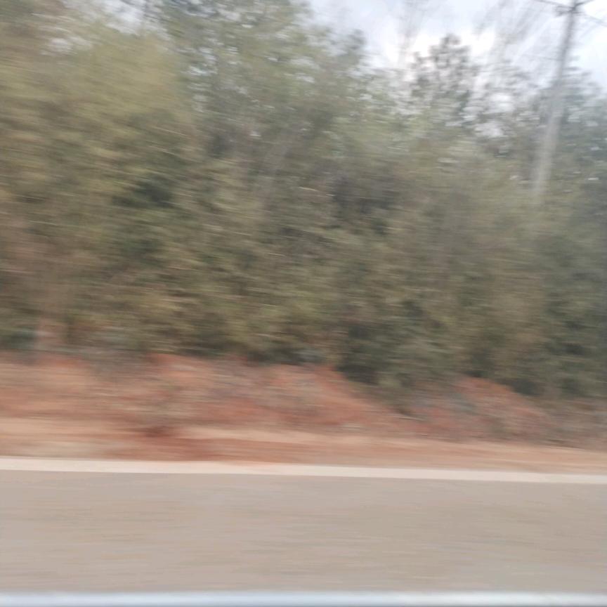 何年何月能懂我