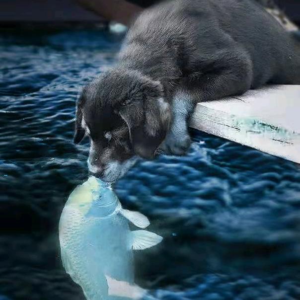 向着Lⅹ许个愿……